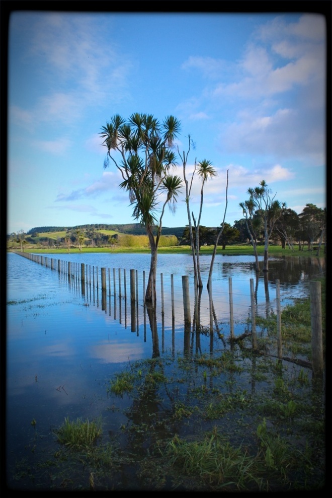 Submerged fields and fenceline, Kaipara, Auckland. Photo: Su Leslie, 2014
