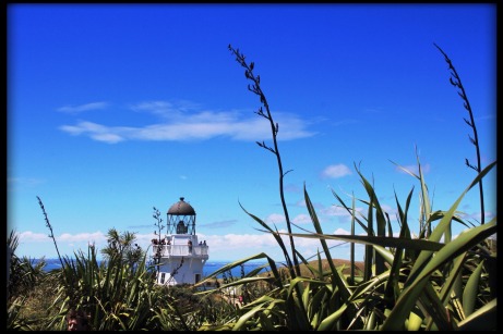 Lighthouse, Manukau Heads. Image: Su Leslie, 2016