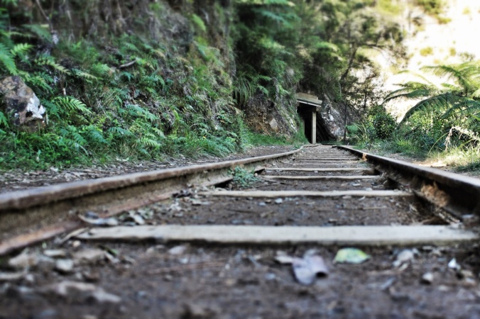 Tram track leading to old mining tunnel, Karangahake Gorge, Coromandel, NZ. Image: Su Leslie, 2016
