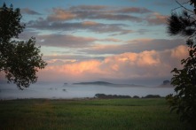 Morning mist, Te Kauwhata, Waikato, NZ. Image: Su Leslie, 2017