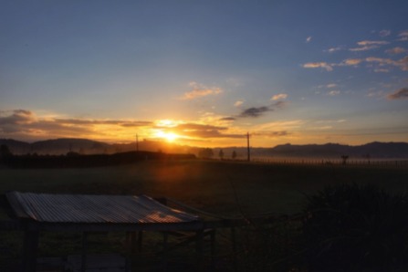 Sunrise, Te Kauwhata, Waikato, NZ. Image: Su Leslie, 2017
