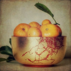 Still life with mandarins; edited with Stackables for painted effect. Image: Su Leslie, 2017