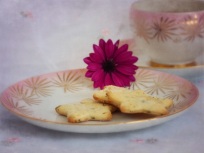 Afternoon tea with Lemon-Rosemary cookies. Image: Su Leslie, 2017