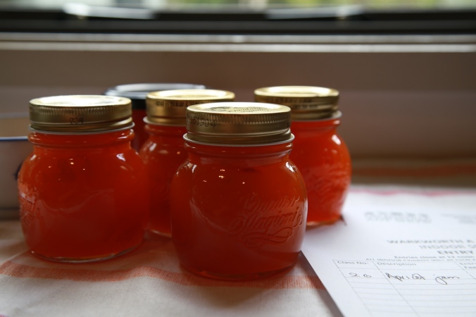 Close up shot; jars of apricot jam with entry forms for A&P shows. Image: Su Leslie, 2018