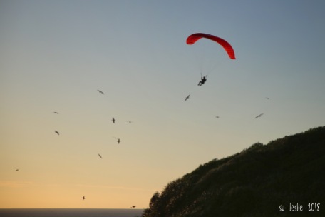 Paraglider, Muriwai, NZ. Image: Su Leslie, 2018