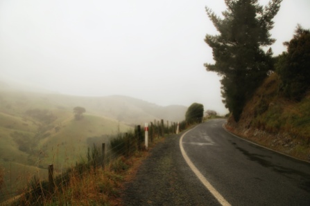 Highcliff Road, Otago Peninsula. Image: Su Leslie 2018