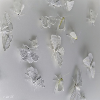 Elizabeth Thompson, Moths, 2014-2017. Seen in Sarjeant on Quay Gallery, Whanganui.