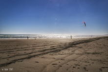 Watching the kite. Ocean Beach, Kawhia, NZ. Image: Su Leslie 2018