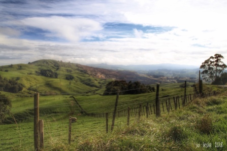 Green hills and brown. Farmland adjacent to the Hinuera Quarry, Matamata, NZ. Image: Su Leslie 2018