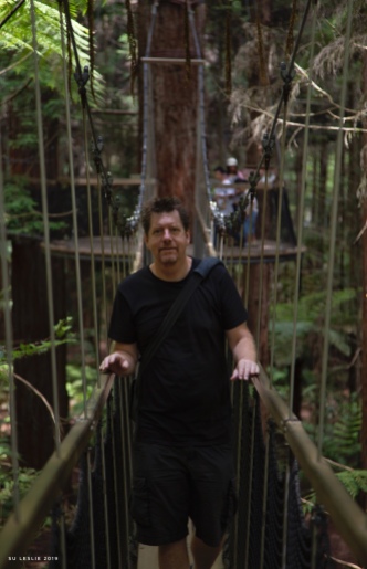 Redwoods Tree Walk, Rotorua -- with the Big T. Image: Su Leslie 2019