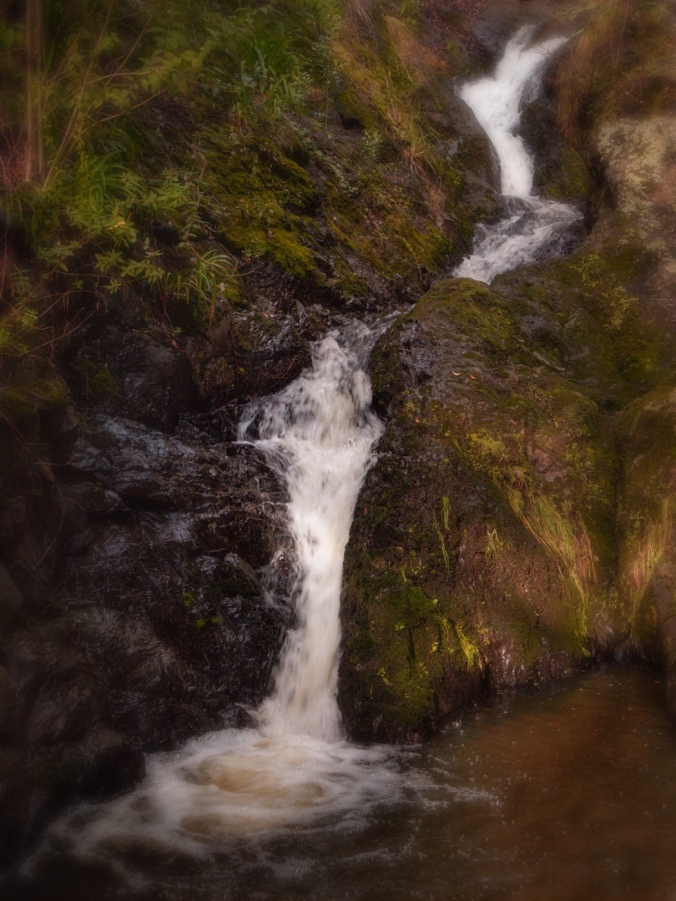 Aged image of Wairere Falls, Whakatane, New Zealand. Image focuses on last two drops where falls enter stream at ground level. Image: Su Leslie 2019