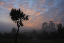 Morning mist, Greenhithe, New Zealand. Image: Su Leslie