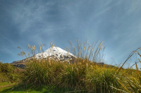I got a bit carried away photographing Mt Taranaki; so often its summit is shrouded in cloud. Image: Su Leslie 2019
