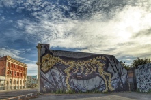 Street art, Whanganui. Image: Su Leslie 2019
