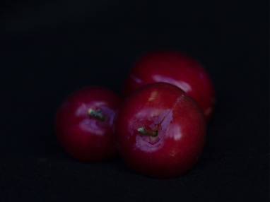 Season's first plums. Image: Su Leslie 2019