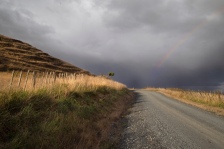 Into the rain. The back roads, Waikato, NZ. Image: Su Leslie 2020