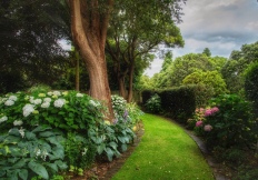 Cottage garden, Bason Botanic Gardens, Whanganui. Image: Su Leslie 2019